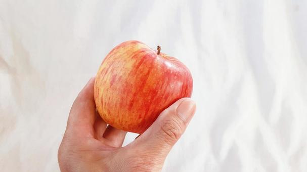 手に取ったりんご 手に取ったりんご リンゴ,果物,食べ物の写真素材