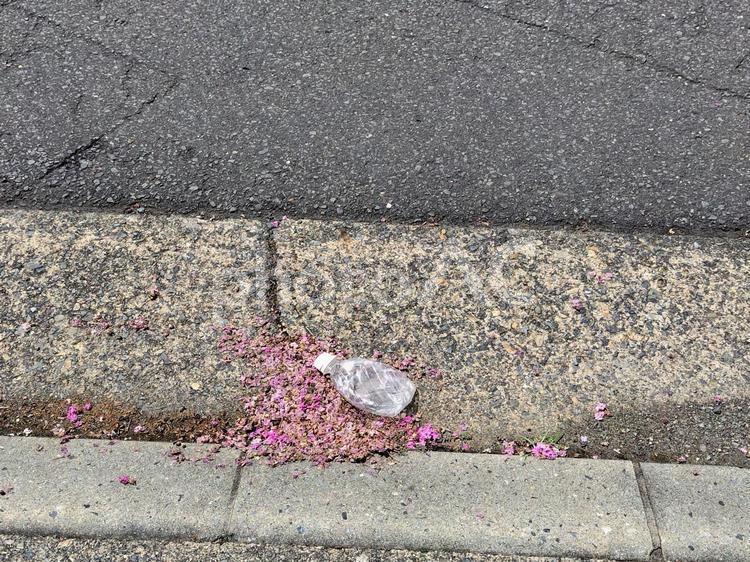 ポイ捨て（ペットボトル） ポイ捨て,ゴミ,ごみの写真素材