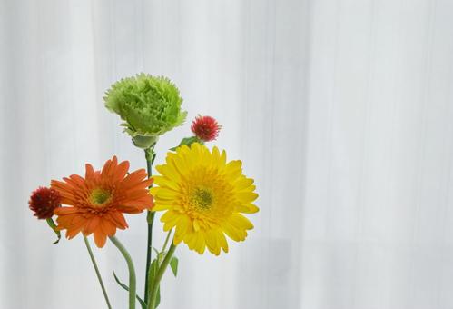 窓際の穏やかな光と綺麗な生花 背景,生花,花の写真素材