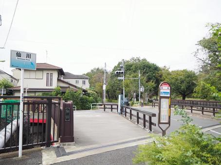 祖師ヶ谷の街並み(東京都・世田谷区) 祖師ヶ谷の街並み(東京都・世田谷区) 祖師ヶ谷通り,祖師ヶ谷,街並みの写真素材