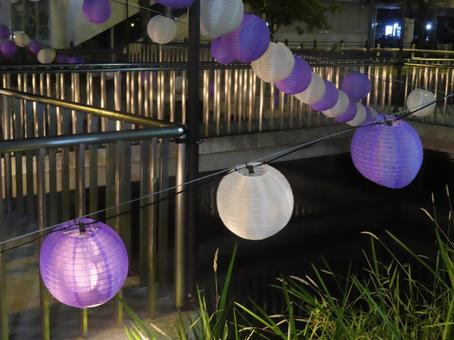 夏の提灯 夏の提灯の写真