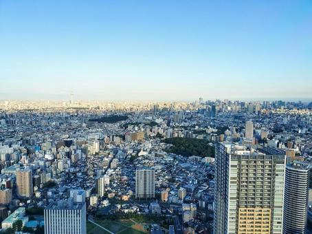 サンシャイン展望台から南東にスカイツリー サンシャイン展望台から南東にスカイツリーの写真