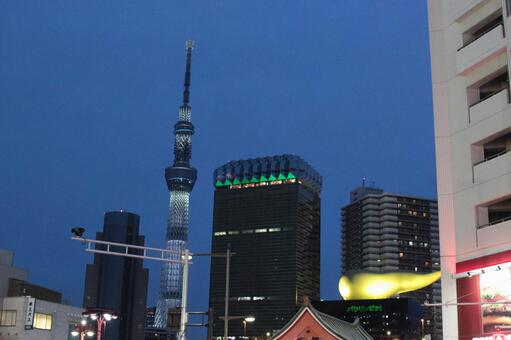 夜景に見えるスカイツリー 夜景に見えるスカイツリーの写真
