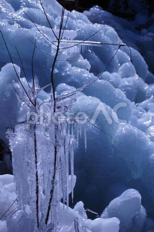 氷の世界 氷,凍る,冬の写真素材