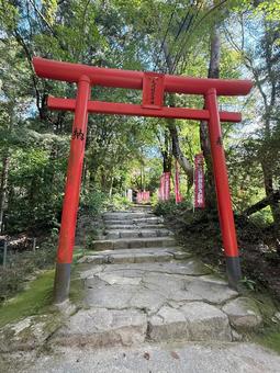 天開稲荷社(福岡　太宰府市)の写真