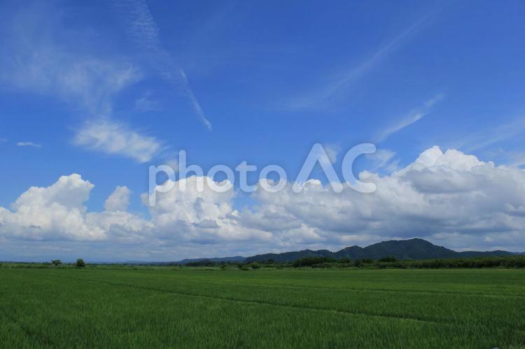 緑の田んぼと青い空と白い雲（山あり）　７ 緑,山,田んぼの写真素材