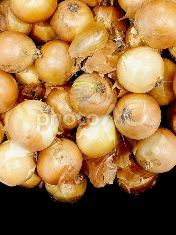 野菜・タマネギ タマネギ,玉ねぎ,玉葱の写真素材