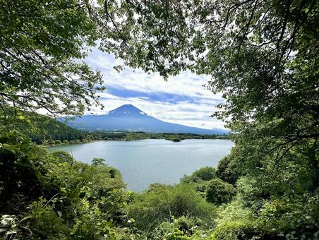 田貫湖と富士山 田貫湖と富士山 富士山,田貫湖,湖の写真素材