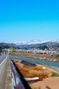 250426西大滝ダムの桜 長野県,飯山市,西大滝の写真素材