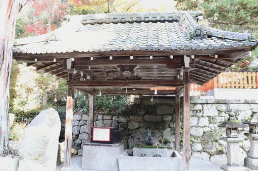 鷺森神社　手水舎 鷺森神社,手水舎,さぎのもりじんじゃの写真素材