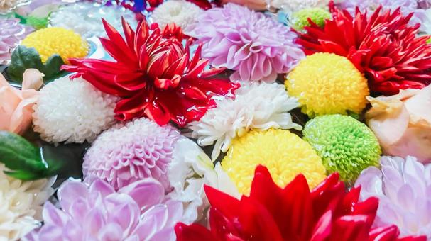 花 花の写真