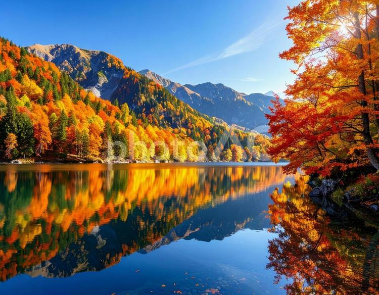静かな湖の水面に反射する秋色の山　絶景4 秋,紅葉,湖の写真素材