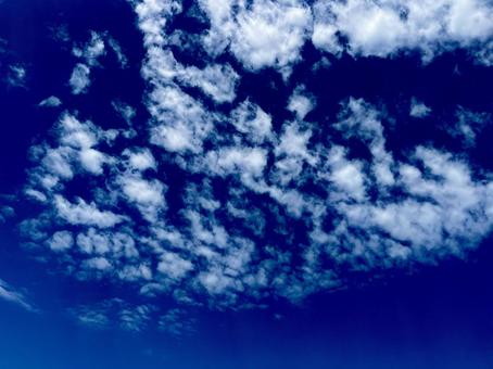 春の青空2 春の青空2の写真