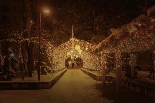 イルミネーション（北海道旭川市） イルミネーション,夜景,ライトアップの写真素材