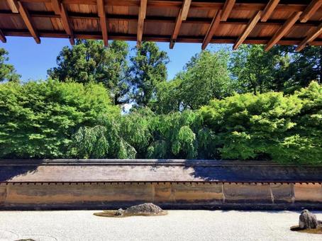 龍安寺の枯山水庭園  龍安寺の枯山水庭園 枯山水,京都,龍安寺の写真素材