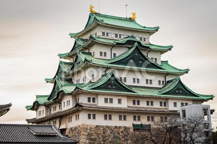 名古屋　名古屋城の風景 名古屋,愛知,愛知県の写真素材