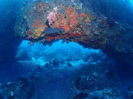 伊豆大島のアーチ アーチ,地形,伊豆大島の写真素材