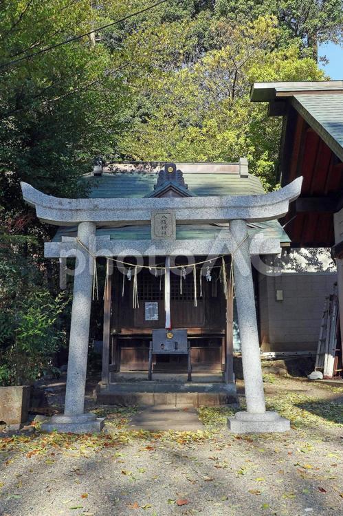 杵築大社（武蔵野） 杵築大社,大国主大神,事代主大神の写真素材