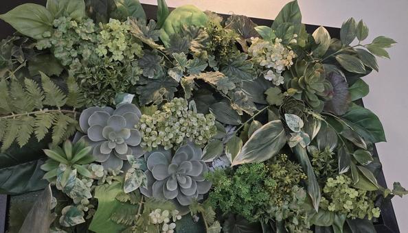 グリーンな壁飾り グリーンな壁飾り 壁飾り,装飾,壁の写真素材