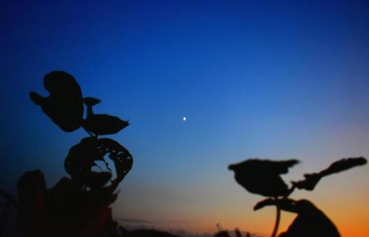 長月の夕暮れと月 長月の夕暮れと月 夕暮れ,暮れる,日没の写真素材