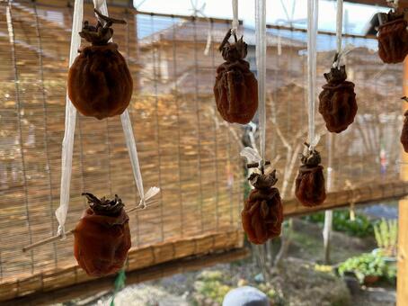 干し柿 干し柿,柿,渋柿の写真素材