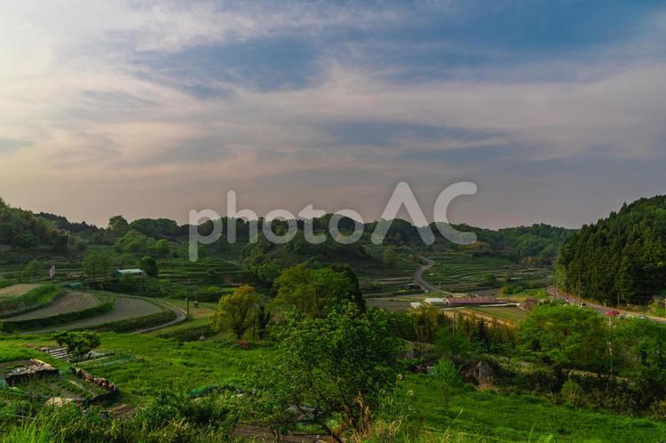 稲渕棚田　明日香村 棚田,田んぼ,明日香村の写真素材