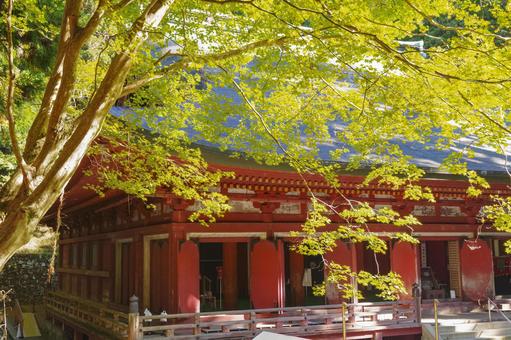 比叡山延暦寺西塔 釈迦堂の全景 比叡山延暦寺西塔 釈迦堂の全景 比叡山,延暦寺,西塔の写真素材