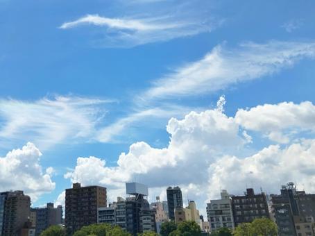 もこもことした可愛い積雲 もこもことした可愛い積雲の写真