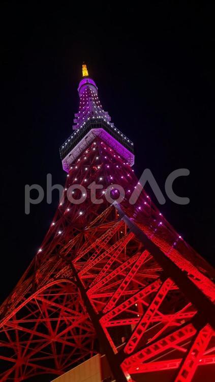 東京タワー 東京タワー,東京,六本木の写真素材