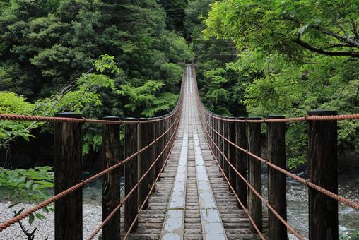 龍神村の吊橋 龍神村の吊橋 龍神村,吊り橋,新緑の写真素材
