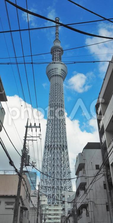 街並みと東京スカイツリー　全景 東京スカイツリー,スカイツリー,タワーの写真素材