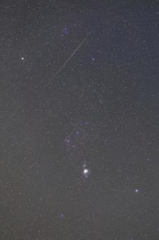 オリオンを貫く流星 流星,流れ星,夜空の写真素材
