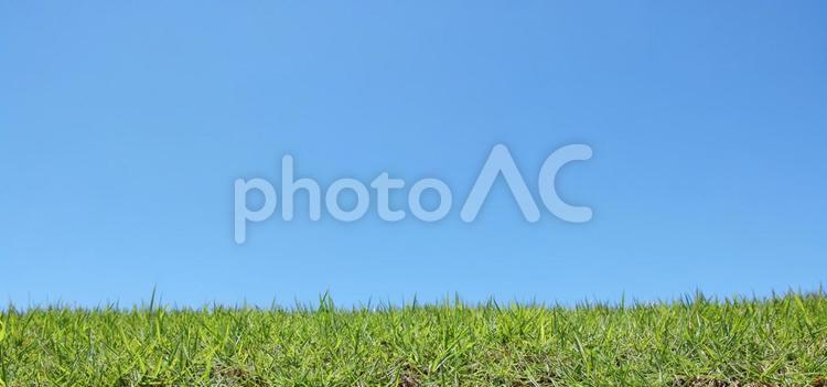 青空と芝生 青空,芝生,道の写真素材