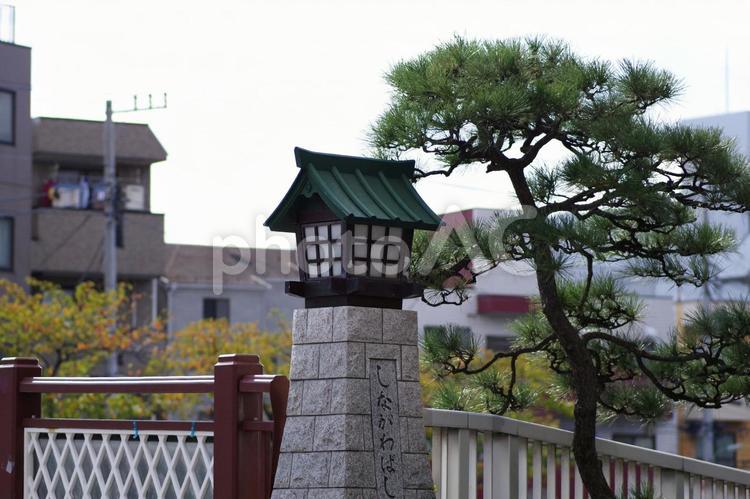 品川橋の袂 品川橋,旧東海道,街灯の写真素材