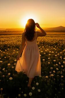 夕日の花畑を歩く女性 夕日の花畑を歩く女性の写真