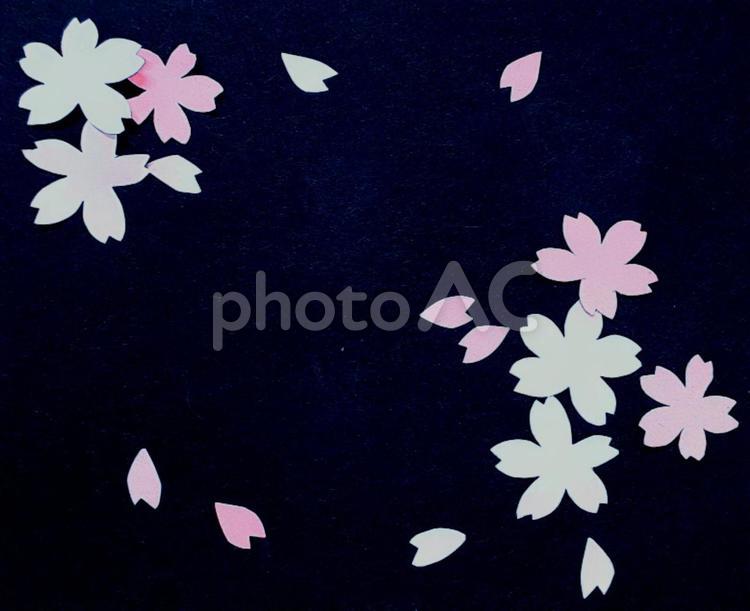 桜２(メッセージ) 桜,春,サクラの写真素材