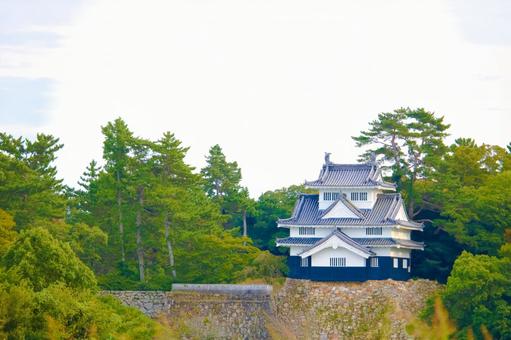 [愛知県]豊橋市今橋町の吉田城鉄櫓 吉田城鉄櫓,吉田城,秋の写真素材