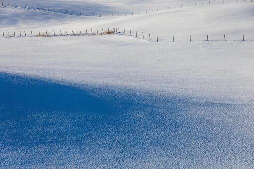 牧場にできた長い影と光が描く陰影 牧場,冬,雪原の写真素材