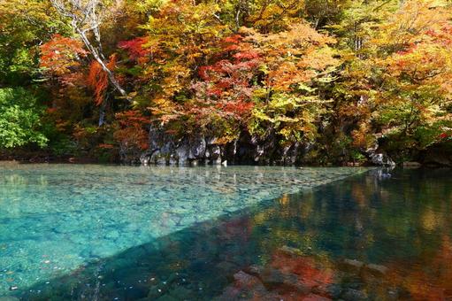 Autumn leaves at Houtai Falls, JPG Autumn leaves at Houtai Falls, JPG