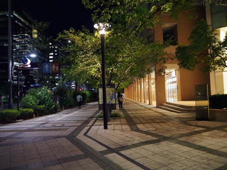 豊洲の夜景・晴海通り沿いの歩道(東京都) 豊洲の夜景・晴海通り沿いの歩道(東京都)の写真