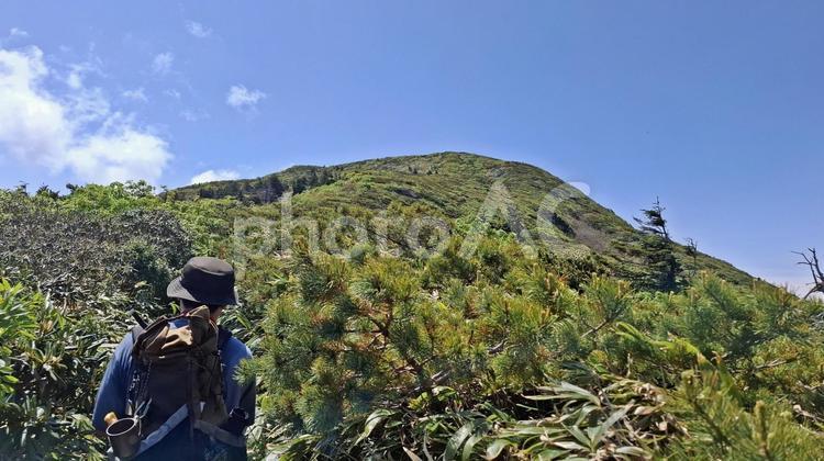 登山者 縦走路,登山者,尾根道の写真素材