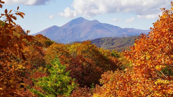 Autumn leaves and Mt. Bandai, JPG Autumn leaves and Mt. Bandai, JPG