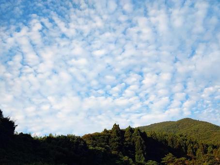 秋雲 秋雲の写真