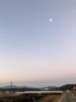 朝の月の写真