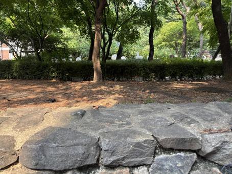 Photo, park, natural, stone, 