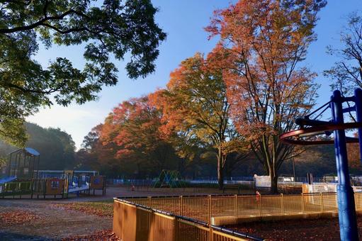 砧公園の秋 砧公園の秋の写真