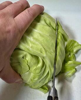 キャベツを包丁で切る手元の調理シーン キャベツ,野菜,調理の写真素材