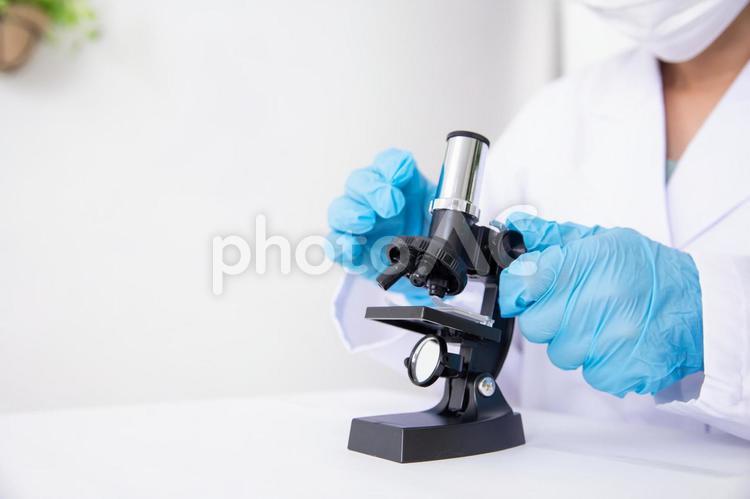 研究・科学者イメージ 顕微鏡,検査,医療技術の写真素材