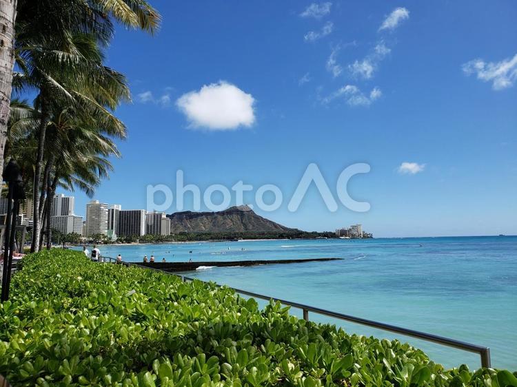 美しいハワイの景色を見る 海,南国,ハワイの写真素材