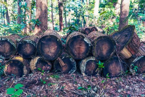 Abandoned Log, JPG Abandoned Log, JPG